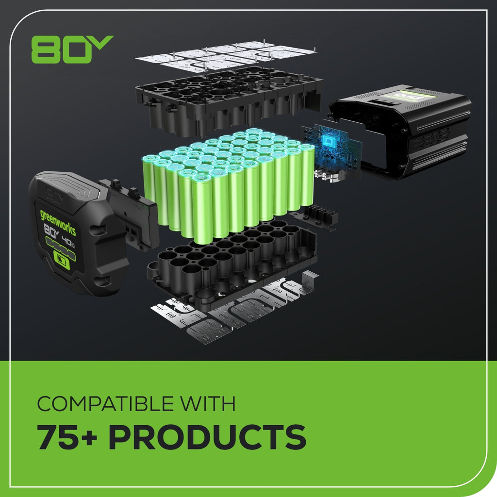 80V 610 CFM Cordless Battery Backpack Blower (Tool Only)