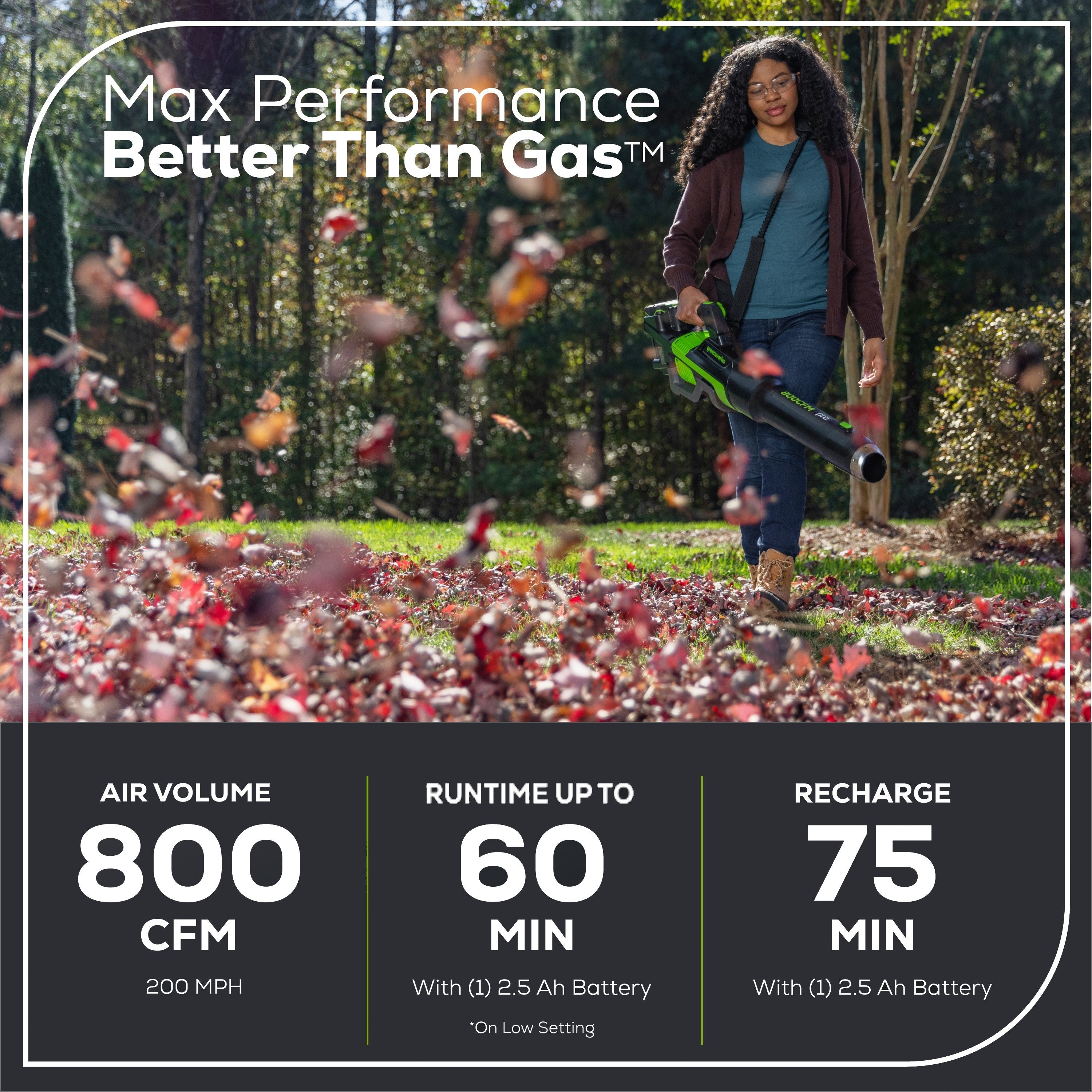 80V 800 CFM Brushless Leaf Blower w/ 2.5Ah Battery & Charger