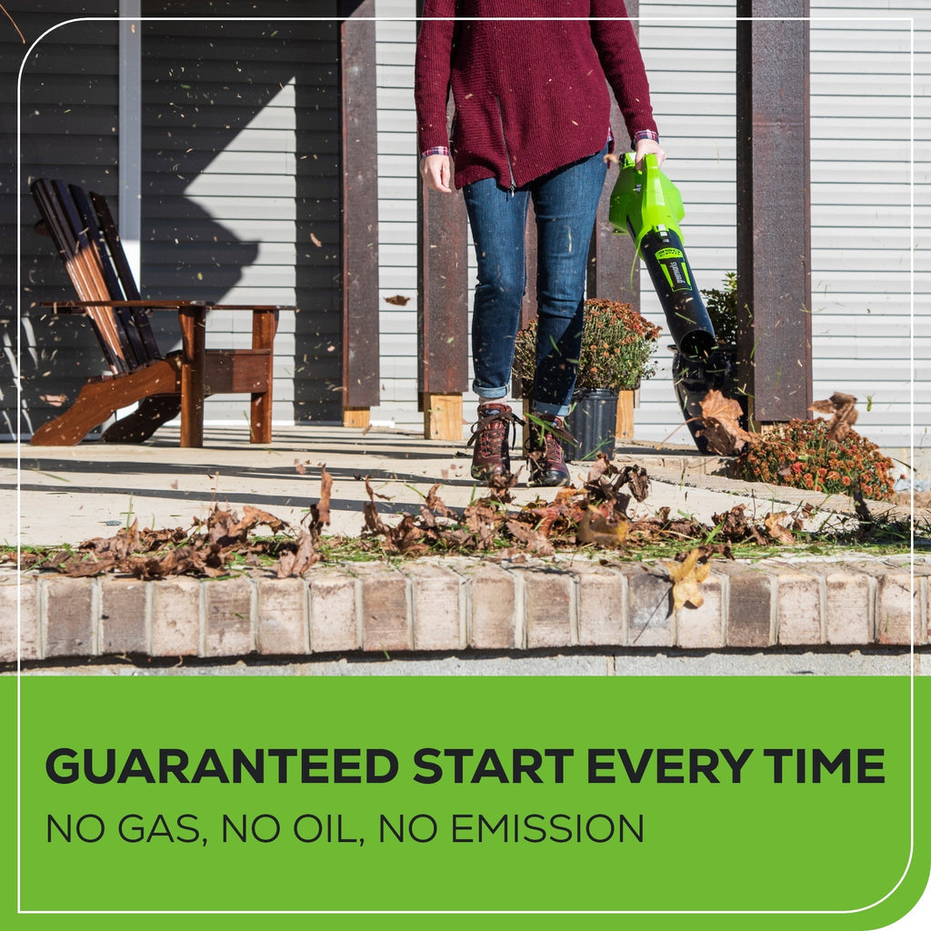 40V 350 CFM Cordless Battery Leaf Blower w/ 2.0 Ah Battery & Charger