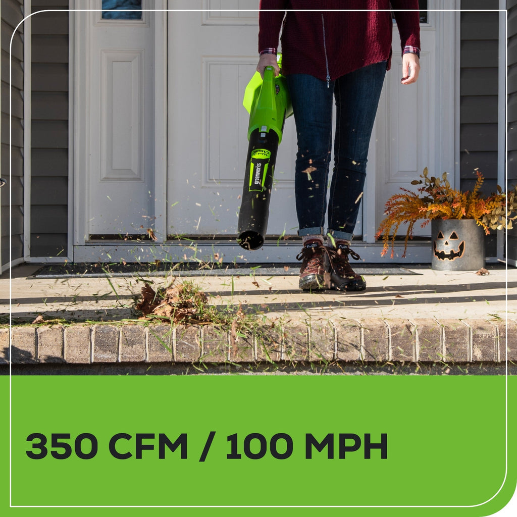 40V 350 CFM Cordless Battery Leaf Blower w/ 2.0 Ah Battery & Charger